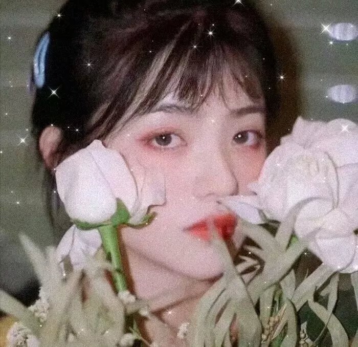 红杏痴魂